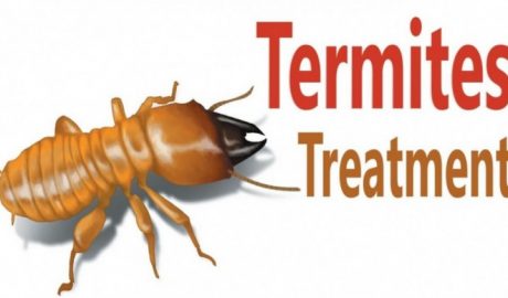 termite pest control melbourne