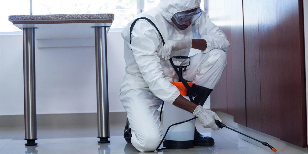 Pest-Proofing Before you Move-Into Your New Homes