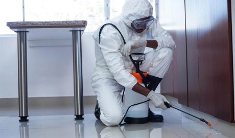 Pest-Proofing Before you Move-Into Your New Homes