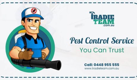 pest control melbourne