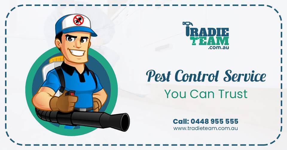 pest control melbourne