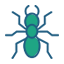 Ants