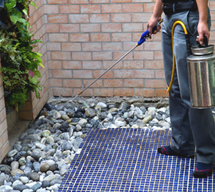 End of Lease Pest Control | Bird Nest Pest Control Melbourne