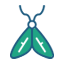 Moths