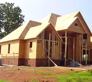 Move In Pest Control Services