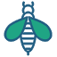 Wasps