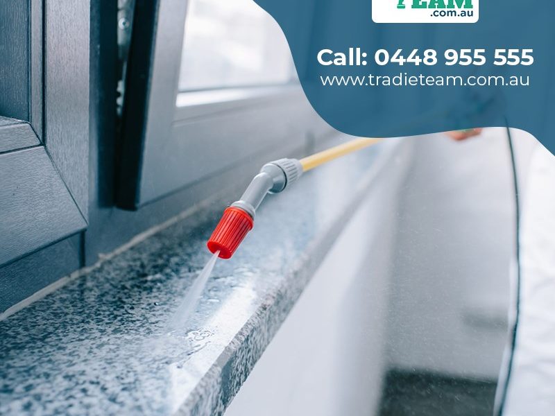 Be Winter Ready with These 3 Winter Pest Control Tips