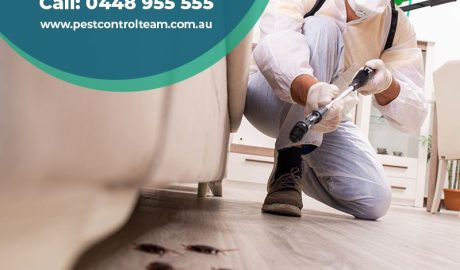 How to Get the Best End-of-Lease Cleaning Quote?