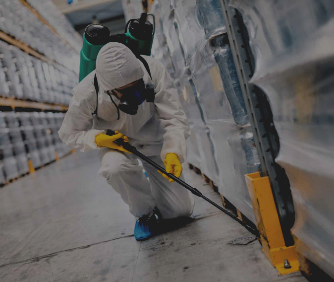 Pest Control Camberwell
