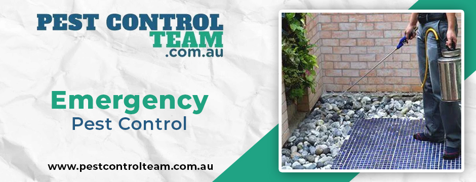 emergency pest control 