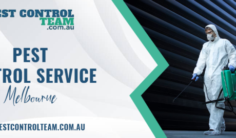 Pest Control Service Melbourne