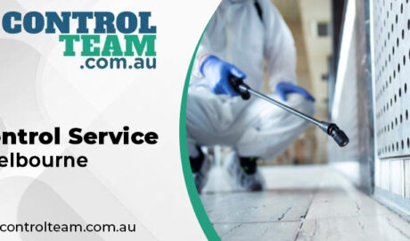 Pest Control Service Melbourne
