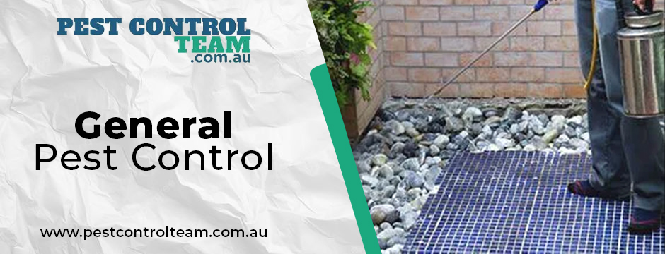 general pest control 