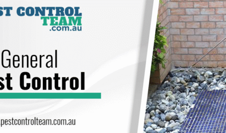 General pest control