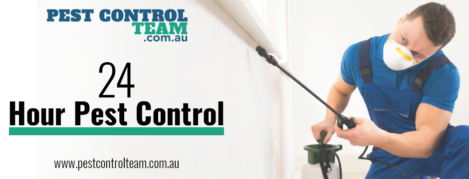  24 hour pest control