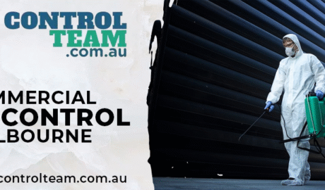 commercial pest control melbourne