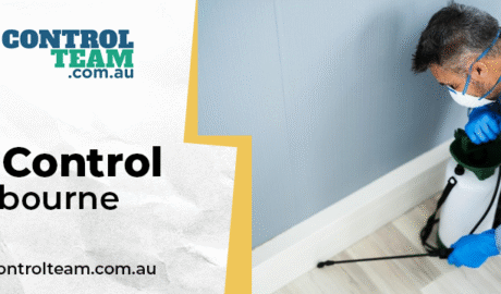 Pest control Melbourne