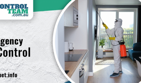 emergency pest control