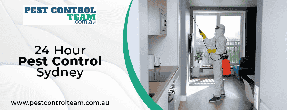 24 hour pest control sydney