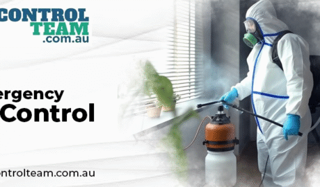 emergency pest control