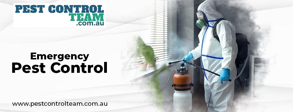 emergency pest control