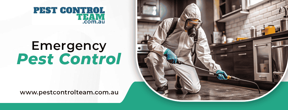 Emergency Pest Control