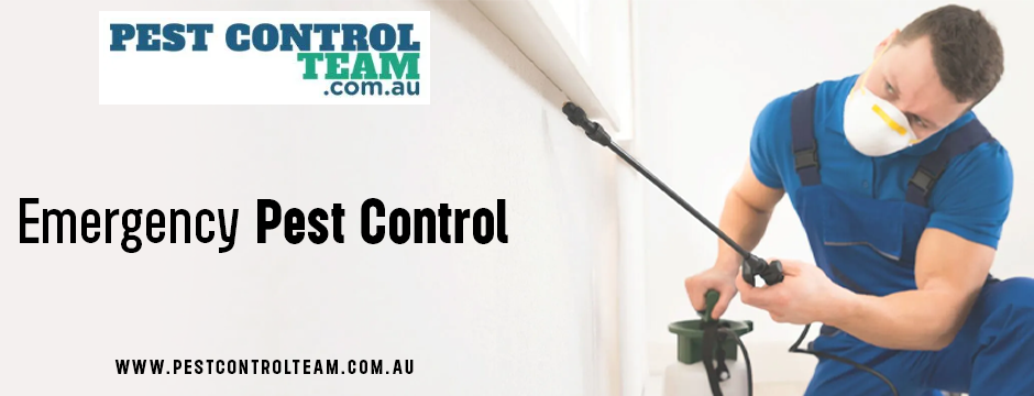 Emergency Pest Control