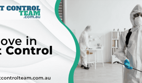 Move in Pest Control