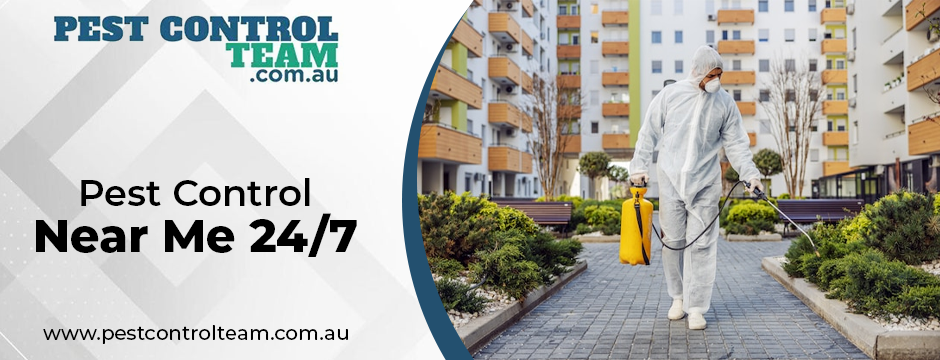 pest control near me 24_7