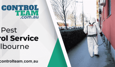 Pest Control Service Melbourne