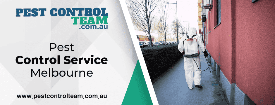 Pest Control Service Melbourne