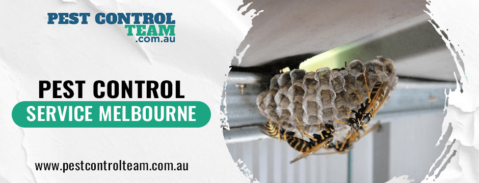 Pest Control Service Melbourne