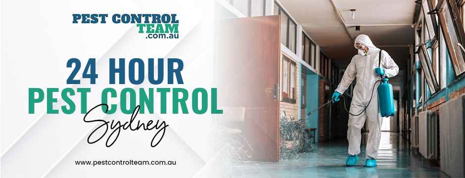24 hour pest control sydney