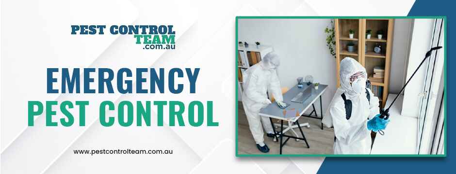 emergency pest control