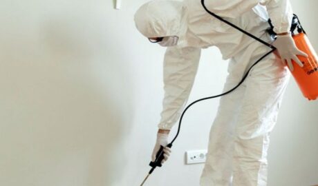 Emergency Pest Control