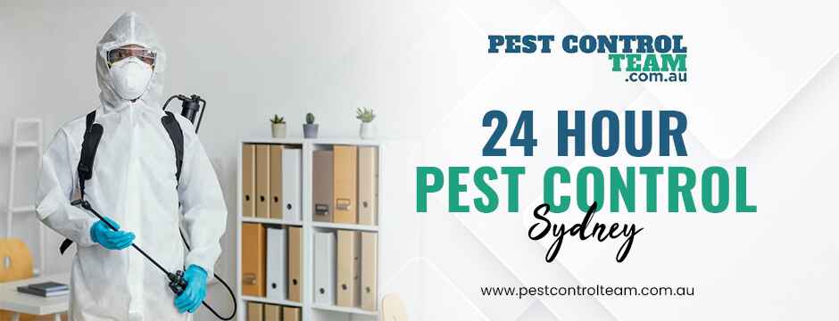 24 hour pest control sydney