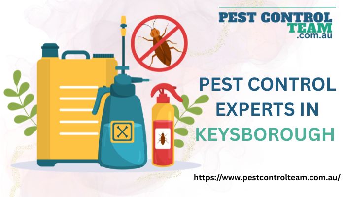 Pest Control Experts In Keysborough