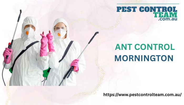 Ant Control Mornington