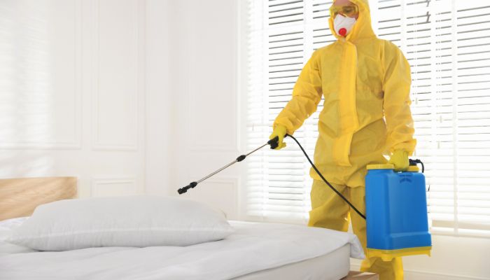 Pest Control Balwyn
