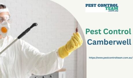 Pest Control Camberwell