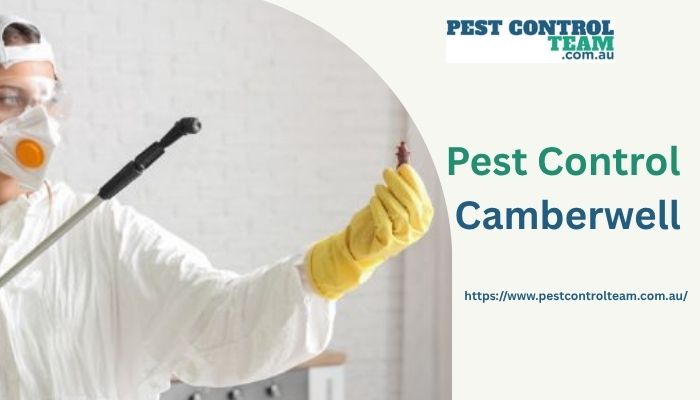 Pest Control Camberwell
