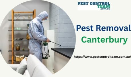 Pest Removal Canterbury