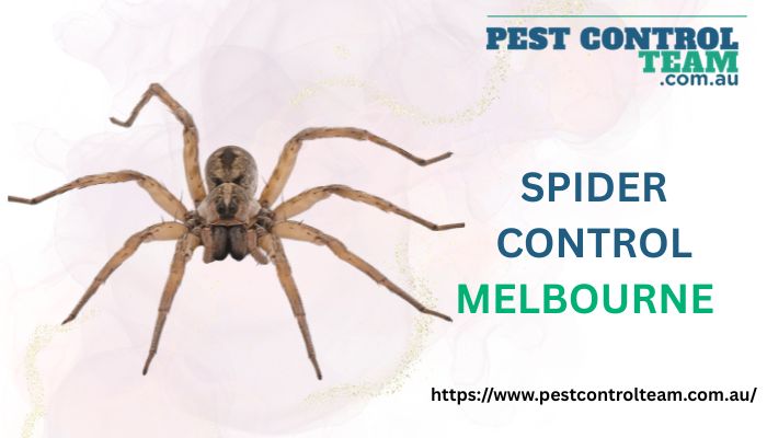 Spider Control Melbourne
