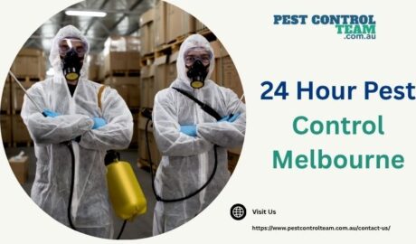 24 Hour Pest Control Melbourne