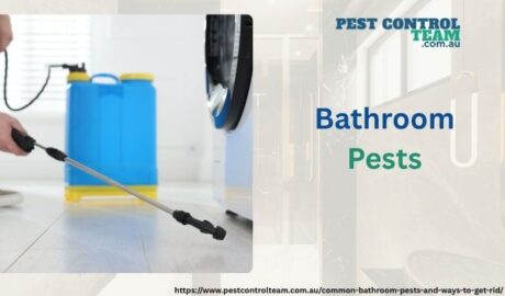 Bathroom Pests