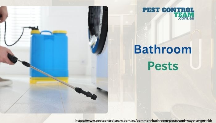 Bathroom Pests