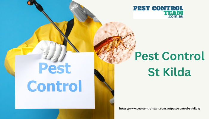 Pest Control St Kilda