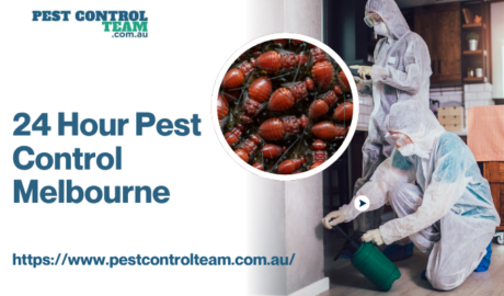 24 Hour Pest Control Melbourne