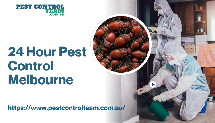 24 Hour Pest Control Melbourne