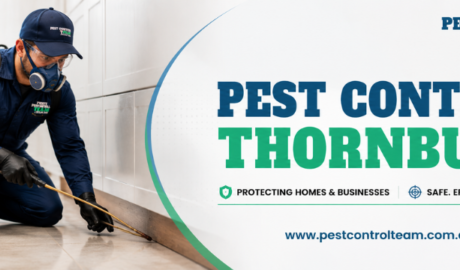 Pest Control Thornbury